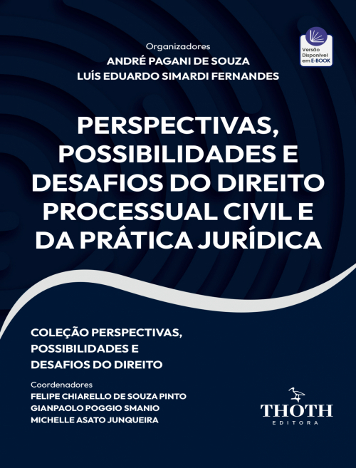 Perspectivas, Possibilidades e Desafios do Direito Processual Civil e da Prática Jurídica
