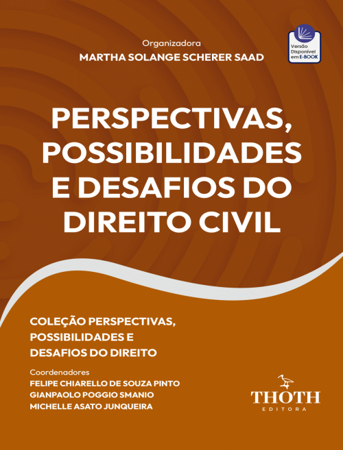 Perspectivas, Possibilidades e Desafios do Direito Civil
