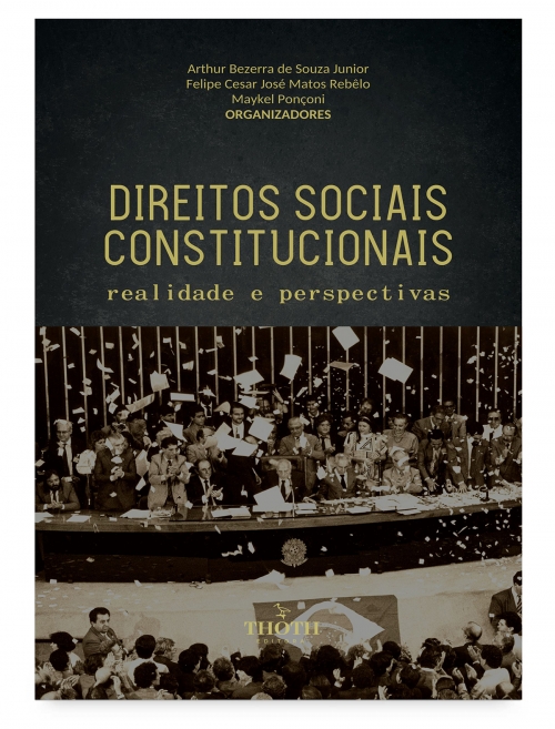 Direitos sociais constitucionais: realidade e perspectivas
