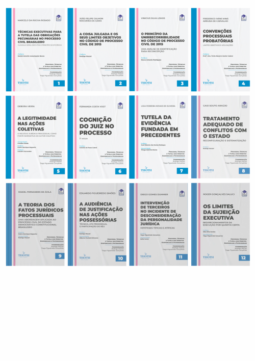 Coleção Processo, Técnicas e Tutela dos Direitos Existenciais e Patrimoniais