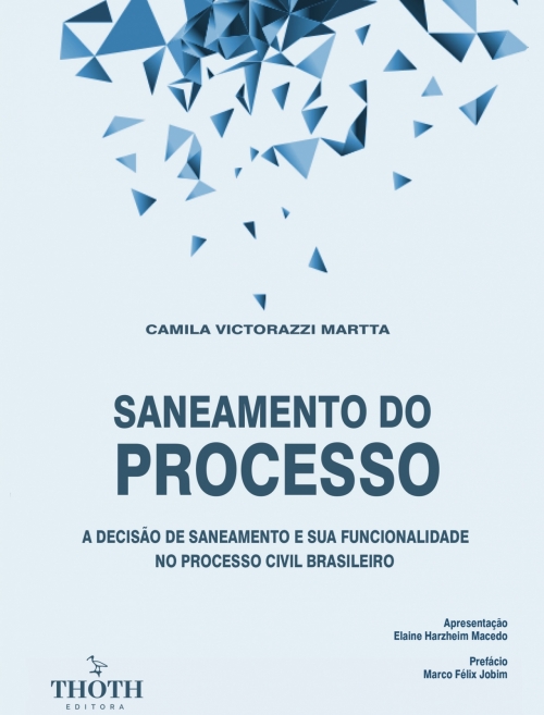 Saneamento do processo: a decisão de saneamento e sua funcionalidade no processo civil brasileiro