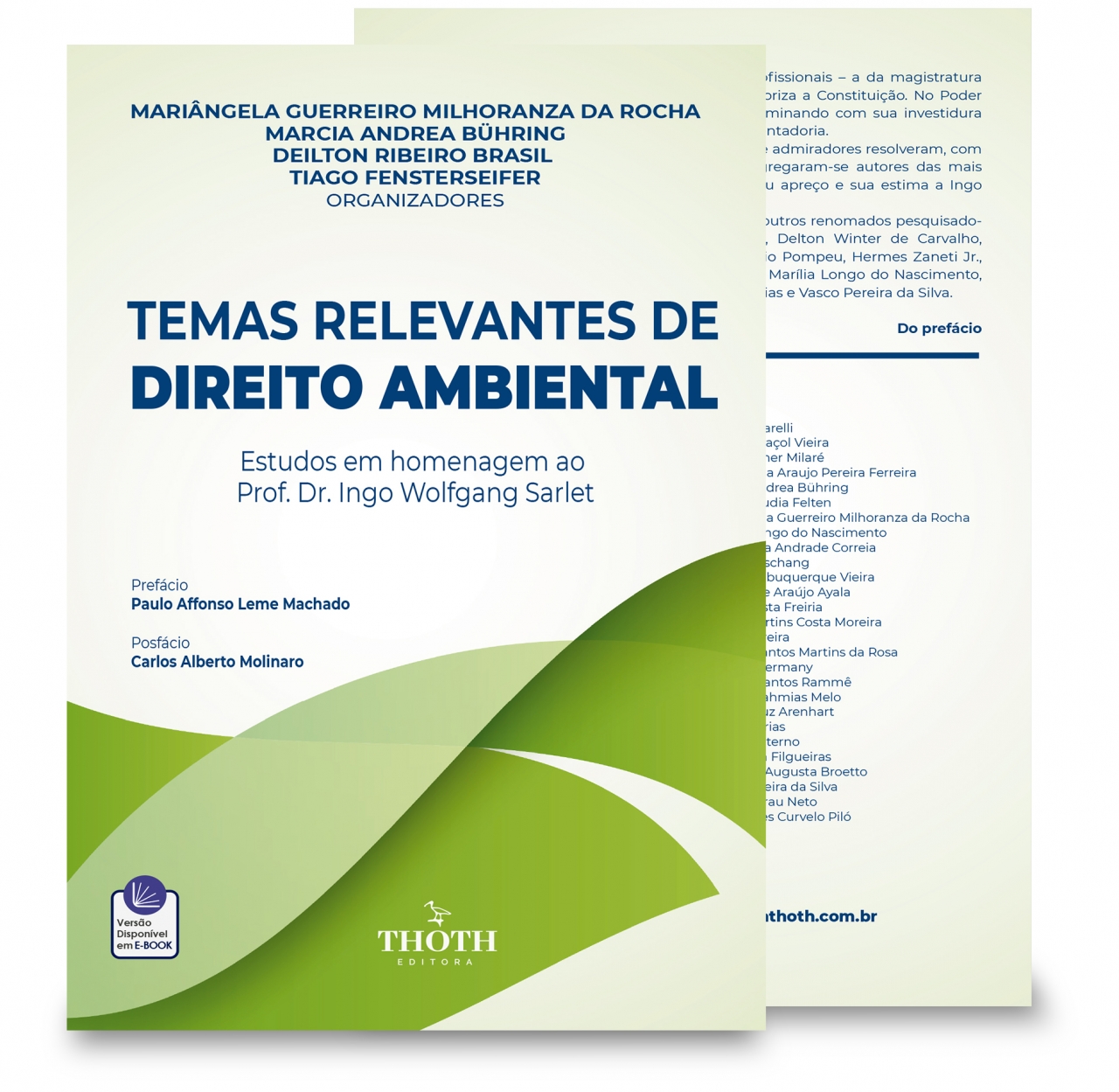 PDF) DEFINIÇÃO DOS CONTORNOS DOS DANOS EXTRAPATRIMONIAIS, A PARTIR DE UMA  ABORDAGEM COMPARADA