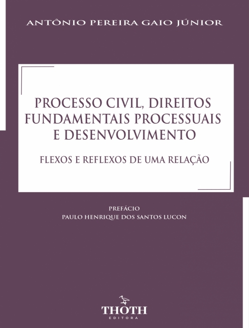 Processo civil, direitos fundamentais processuais e desenvolvimento: flexos e reflexos de uma relação