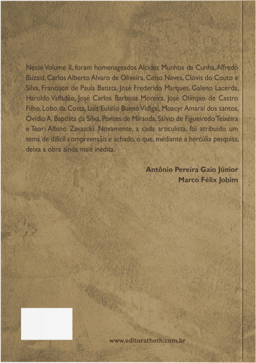 Teorias do Processo: dos Clássicos aos Contemporâneos - Vol. II